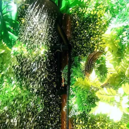 Karijatida-art Kuca Za Potpuni Odmor Duse I Tijela Apartment Zena Glava
